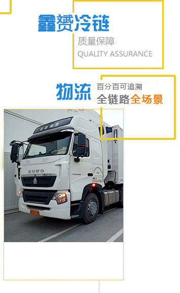 小型挖掘機